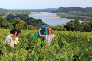 Loire valley customized tours